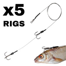 Pike zander dead bait - dead, rigs