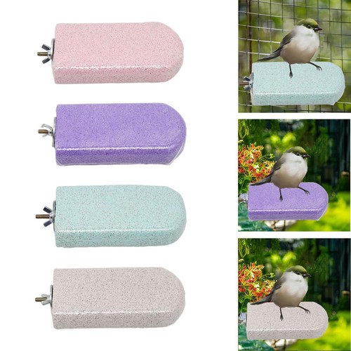 Bird perch platform parrot - bird,