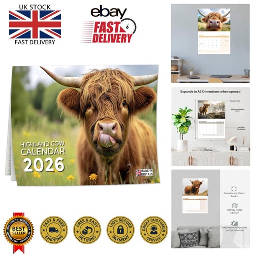 Elegant highland cow - highland,