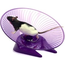 Fly saucer wheel sml - fly,