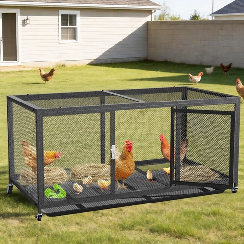Chicken run cage - chicken,