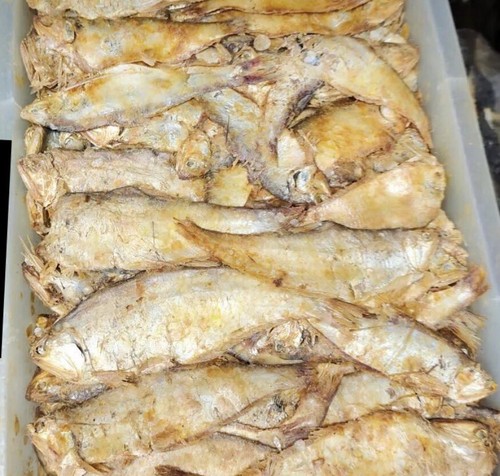 Shidol hidol shutki hutki - shidol/hidol,