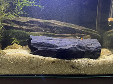 Pleco breeding cave hide 3d - pleco,