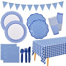 Gingham Blue and White Party
