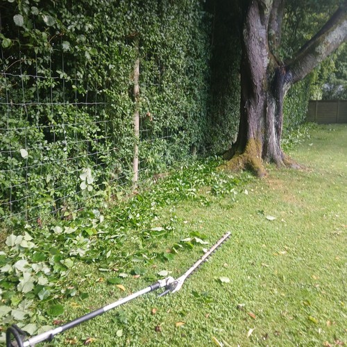 Stihl kombi 145 hedge - hedge, trimmer