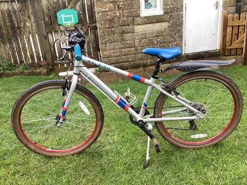 Raleigh pop child - raleigh, 24”