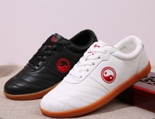 Unisex Kung Fu Shoes Tai Chi