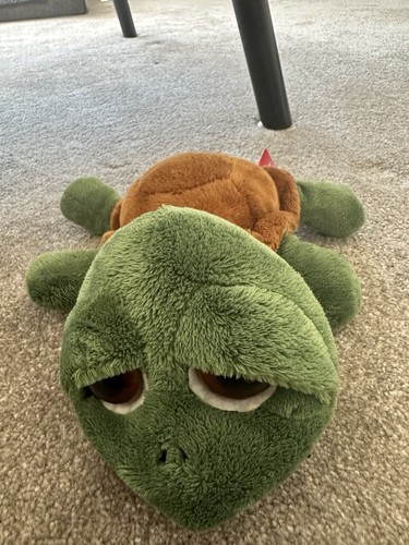 Shecky the turtle soft - turtle,