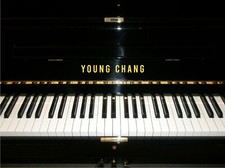 Young Chang Metallic Gold