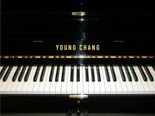 Young chang metallic gold - young,