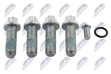 KLT-VV-013-Z NTY Repair Kit