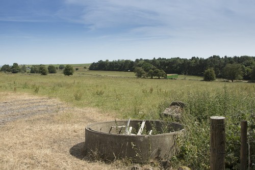 Photo 12x8 rough pasture - pasture, land