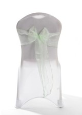 Mint Green Organza Wedding
