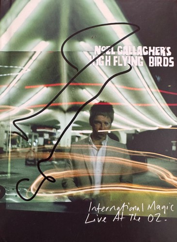 Noel gallagher high - gallagher, flying