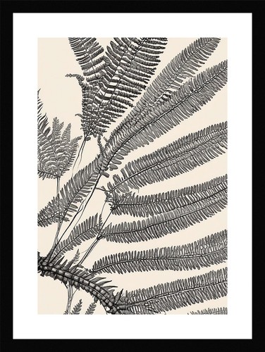 Exquisite fern fronds print - fern,