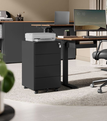 Lockable mobile file cabinet - lockable,