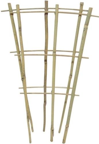 Bamboo fan pot - bamboo,
