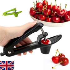 Cherry-Pitter Tool Corer-Cherry And Olive Pitter Stoner Seed Pit Stone Remover
