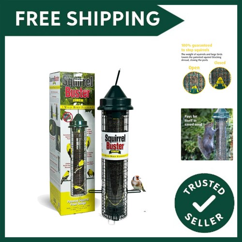 Squirrel proof bird - proof,