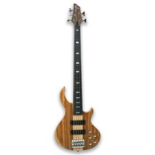 Fretless 5 String Electric