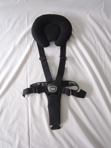 Harness mamas and - -,