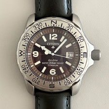 Citizen Promaster Titanium