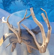 Set large driftwood - of,