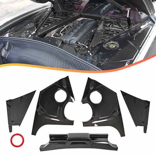 Carbon fiber rear - carbon, engine