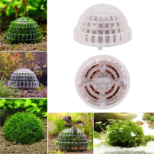 Functional aquarium fish - functional,