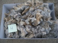 900g Herdwick raw wool