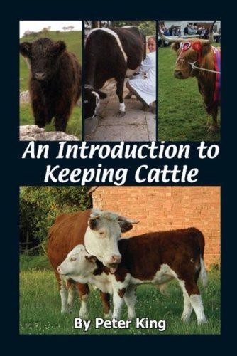 Introduction keeping - to,