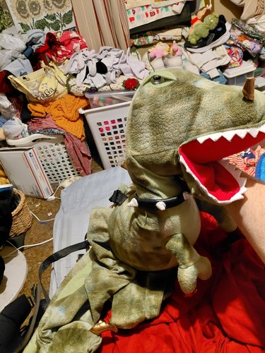 Dinosaur play costume - dinosaur,
