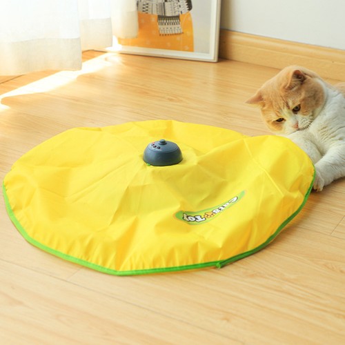 Automatic interactive cat - interactive,