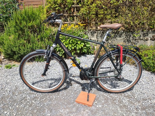 Raleigh pioneer trail - pioneer,
