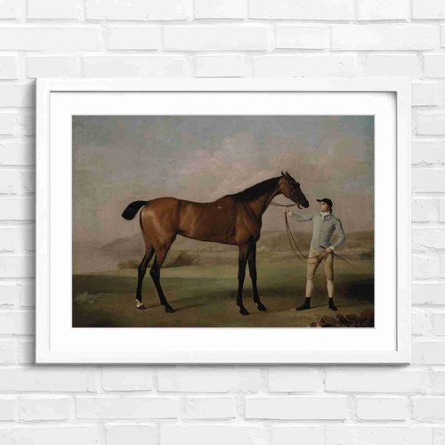 Vintage brown hunter horse - brown,