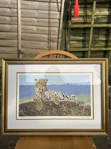 Limited edition wildlife print - edition,