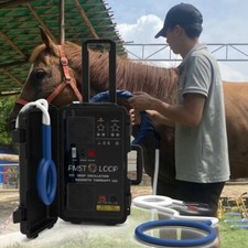 Equine Pemf Pmst Loop Magnetic