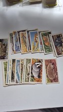 Brooke Bond Tea Cards -