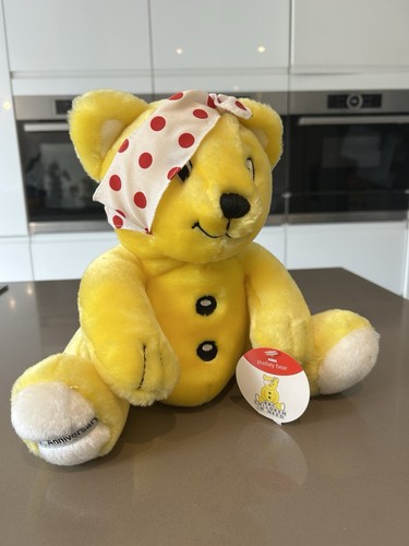 Pudsey bear children - pudsey,