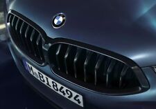 Genuine BMW High Gloss Shadow