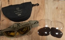 Revision Bullet Ants