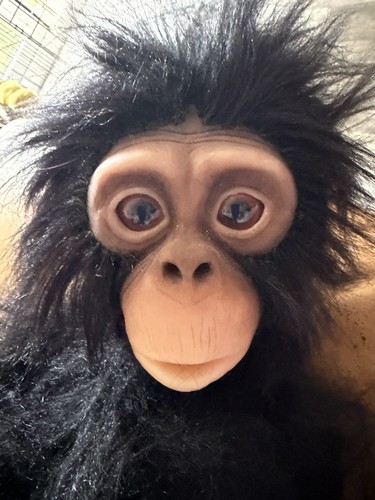 Lifelike baby chimp - lifelike,