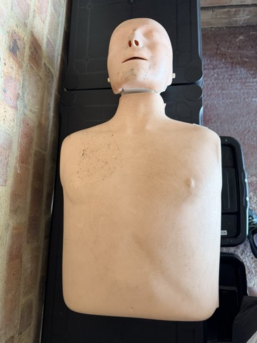 Adult cpr manikin - adult,