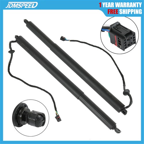 Rear electric tailgate gas - 2x,