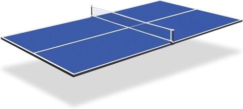Ping pong table top - table,