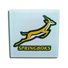 Springboks Rugby Glass
