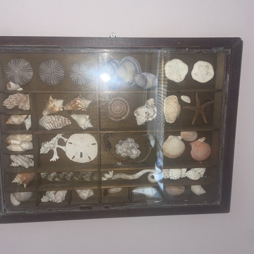 Vintage wooden display