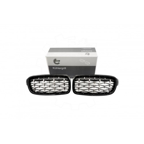 Grids radiator grille front - 2,