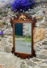 Beautiful Phoenix Crested