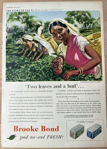 1950 story tea no 4 - story,